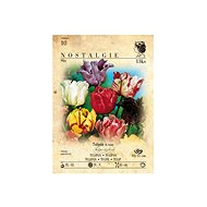 Tulip 13pcs - Bulbous Plants
