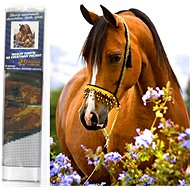 Norimpex Horse Tenderness 30 × 40 cm - Diamond Painting