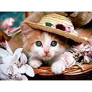 Norimpex Cat with straw 30 × 40 cm - Diamond Painting