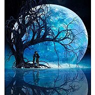 Norimpex Moon over the lake 30 × 40 cm - Diamond Painting