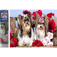 Norimpex Dogs in roses 30 × 40 cm - Diamond Painting
