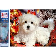 Norimpex White puppy 30 × 40 cm - Diamond Painting