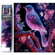 Norimpex Night bird 30 × 40 cm - Diamond Painting