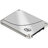 Intel SSD DC S3700 100 GB - SSD-Festplatte