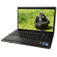 SONY VAIO F24M1E/B black - Laptop