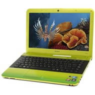 SONY VAIO EA4S1E/G green - Laptop