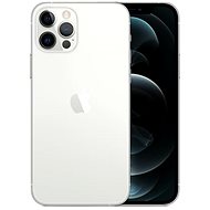 iPhone 12 Pro 256GB silber - Service