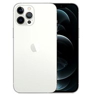Alza NEO Service: Mobile Phone iPhone 12 Pro Max 512GB Silver - Service