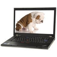 Lenovo ThinkPad T520 4240-4JG - Laptop