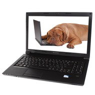 Lenovo IdeaPad B560 - Laptop