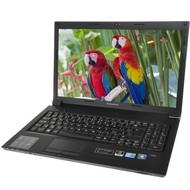 Lenovo IdeaPad B560 - Laptop