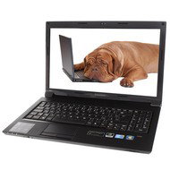 Lenovo IdeaPad B560 - Laptop