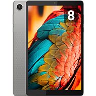 Lenovo Tab M8 4th Gen (TB300XU) Artic Grey + case + film - Tablet