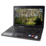 Lenovo IdeaPad U165 - Laptop