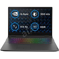 Lenovo Legion Y740-17IRHg Black Metal - Gaming Laptop