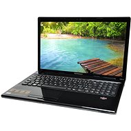 Lenovo IdeaPad G585 Brown - Laptop