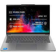 Lenovo IdeaPad Slim 5 14IMH10 Luna Grey all-metal (without adapter) - Laptop