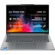 Lenovo IdeaPad Slim 5 14IMH10 Luna Grey all-metal (without adapter) - Laptop