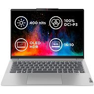 Lenovo IdeaPad Slim 5 14IRL8 Cloud Grey all-metal - Laptop