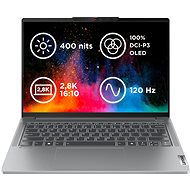 Lenovo IdeaPad Pro 5 14AHP9 Arctic Grey all-metal - Laptop