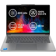 Lenovo IdeaPad Slim 5 14IRH10 Luna Grey all-metal - Laptop