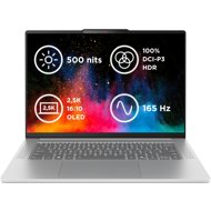 Lenovo IdeaPad Slim 5 15ARP10 Cloud Grey all-metal - Laptop