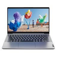 Lenovo IdeaPad 5 14ITL05 Platinum Grey all-metal - Laptop
