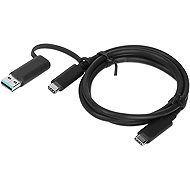Lenovo Hybrid USB-C with USB-A Cable - Data Cable