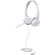Lenovo 110 Stereo USB Headset - Headphones
