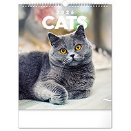 NOTIQUE Wall calendar Cats 2026, 30 x 34 cm - Wall Calendar