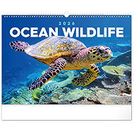 NOTIQUE Underwater World 2026, 48 x 33 cm - Wall Calendar