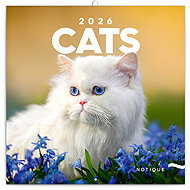 NOTIQUE Cats 2026 notebook, 30 x 30 cm - Wall Calendar