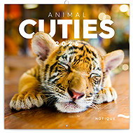 NOTIQUE Note calendar Cubs 2026, 30 x 30 cm - Wall Calendar
