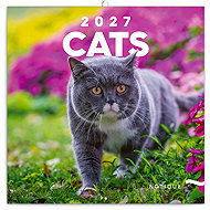 NOTIQUE notebook Cats 2027, 30 × 30 cm - Wall Calendar