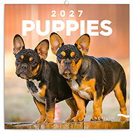 NOTIQUE notebook Puppies 2027, 30 × 30 cm - Wall Calendar