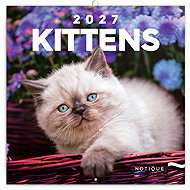 NOTIQUE Notebook Kittens 2027, 30 × 30 cm - Wall Calendar