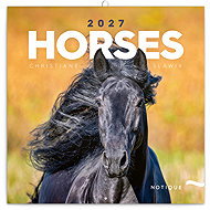 NOTIQUE notebook Horses - Christiane Slawik 2027, 30 × 30 cm - Wall Calendar