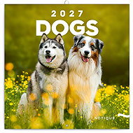 NOTIQUE notebook Psi 2027, 30 × 30 cm - Wall Calendar