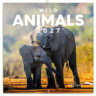 NOTIQUE notebook Wild animals 2027, 30 × 30 cm - Wall Calendar