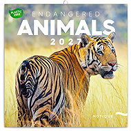 NOTIQUE Endangered Species 2027 Notepad, PLASTIC FREE, 30 × 30cm - Wall Calendar