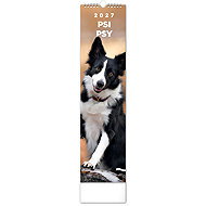 NOTIQUE Psi 2027, 12 × 48 cm - Wall Calendar