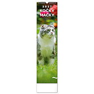NOTIQUE Cats 2027, 12 × 48cm - Wall Calendar