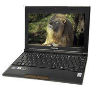 Toshiba NB500-108 brown - Laptop
