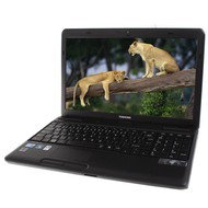 Toshiba Satellite Pro C660-113 - Laptop