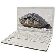 Toshiba Satellite C660-1X2 white - Laptop