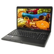 Toshiba Satellite C660D-1FV - Laptop