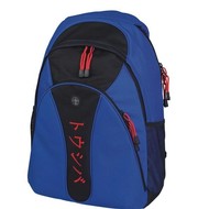 Batoh na notebook Toshiba Back Pack Blue Ocean  - Laptop Backpack