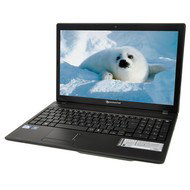Packard Bell Easynote TK36-CV-113CZ - Laptop