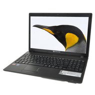 Packard Bell Easynote TK81-SB-221CZ - Laptop