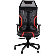 Ryder Extreme Mechanism - Gaming Chair